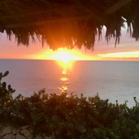 Вілла Stunning Ocean View Негрил Екстер'єр фото